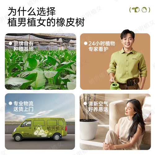 日式搬家公司排名 日式搬家公司排名