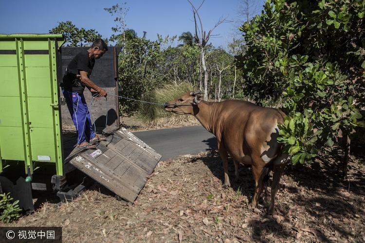 力天装饰工程有限公司 力天装饰工程有限公司