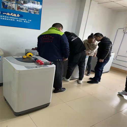 甩干机不转怎么回事