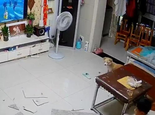 登封海尔单开门冰箱发臭清洗什么价格 登封海尔单开门冰箱发臭清洗什么价格