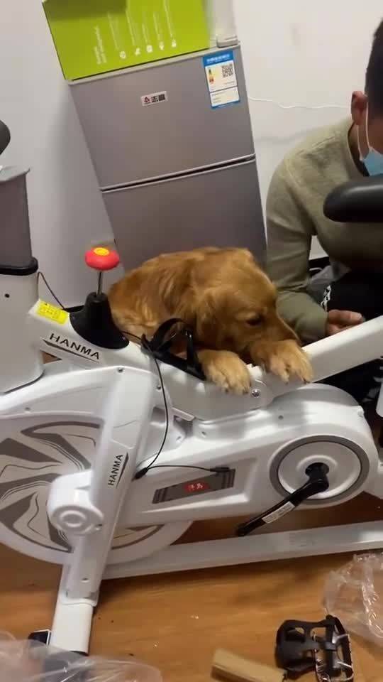 方太煤气灶怎么拆开 应该如何排查原因 方太煤气灶怎么拆开 应该如何排查原因