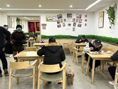 菲斯曼热水器电源不显示怎么解决呢(检查机器运行是否正常开启) 菲斯曼热水器电源不显示怎么解决呢(检查机器运行是否正常开启)