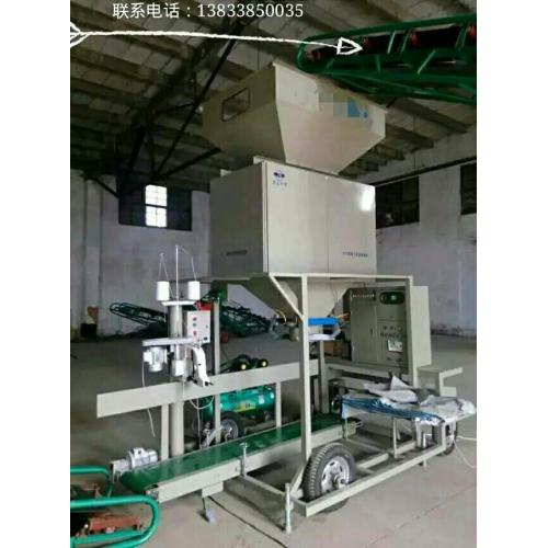 电脑没有网页了怎么办