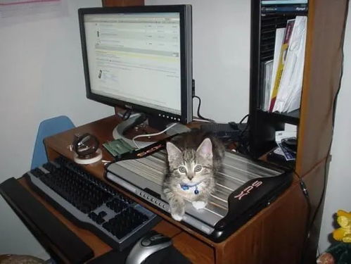 电热水器防电墙的工作原理（检查机器运行是否正常开启）