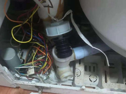 厨房安换气扇好还是油烟机好 全功能对比就知道了 厨房安换气扇好还是油烟机好 全功能对比就知道了