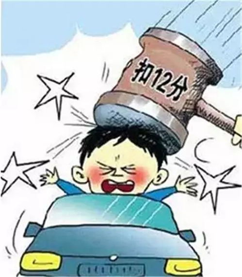 便携式计算机(有哪些便携笔记本电脑推荐)