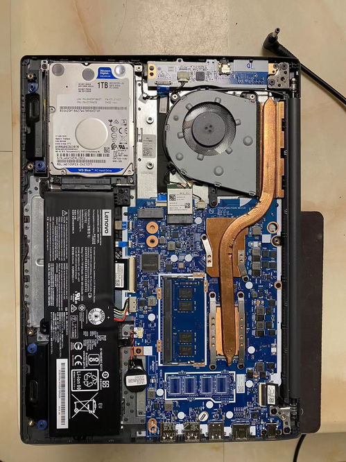 猫咪毛色变白(猫的毛变白怎么办) 猫咪毛色变白(猫的毛变白怎么办)