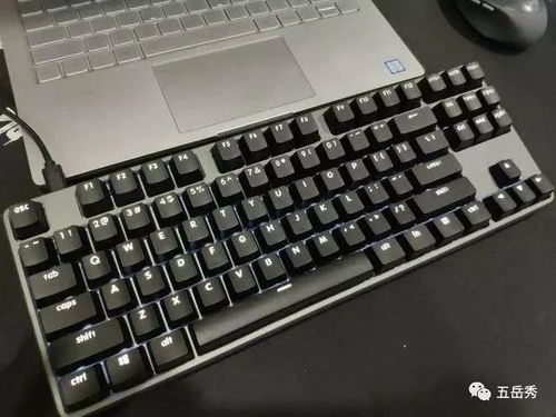 台式电脑没有声音是什么原因