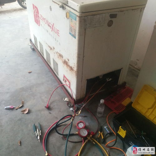 电脑显示应用程序错误怎么办 电脑显示应用程序错误怎么办