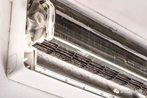 小鸭洗衣机脱水不好用怎么回事 小鸭洗衣机脱水不好用怎么回事