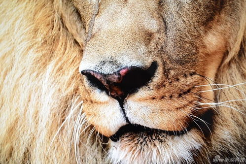 日照哪有三星洗衣机保养 日照哪有三星洗衣机保养