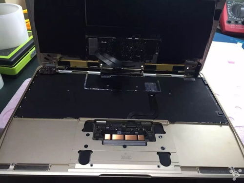 电脑蓝屏打不开怎么办