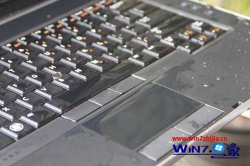 显卡怎么安装(显卡怎么按装)