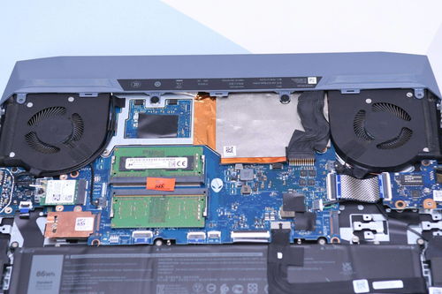 海口哪有小辣椒手机维修点 海口哪有小辣椒手机维修点