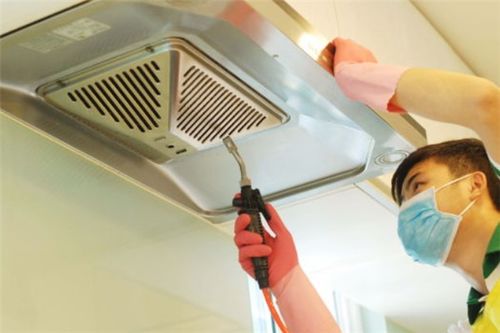 猕猴桃可以放冰箱冷藏吗