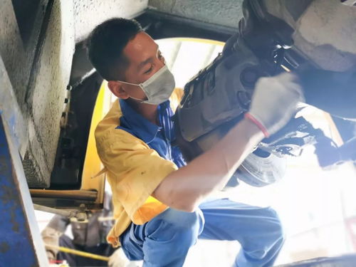 漯河朵唯手机屏幕坏了维修什么价格