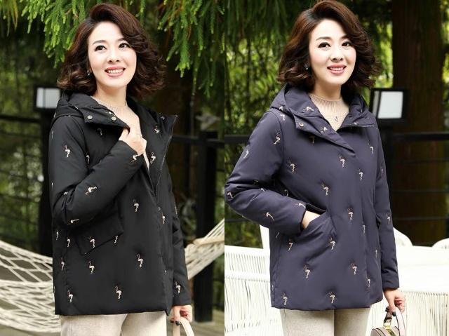 萨顶顶最出名的歌曲萨顶顶的经典歌曲有哪些 萨顶顶最出名的歌曲萨顶顶的经典歌曲有哪些