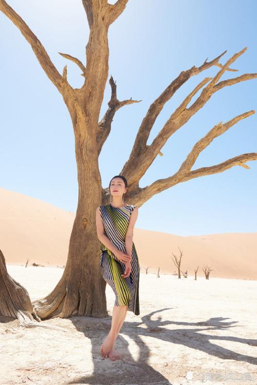 王一博经纪公司是韩国吗 王一博经纪公司是韩国吗