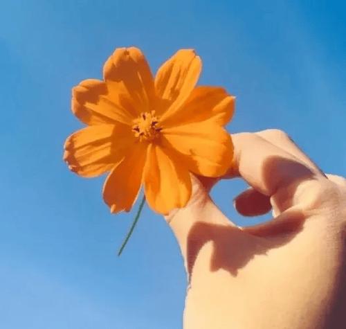 切除胆囊有什么危害 警惕四大危害一定要警惕 切除胆囊有什么危害 警惕四大危害一定要警惕