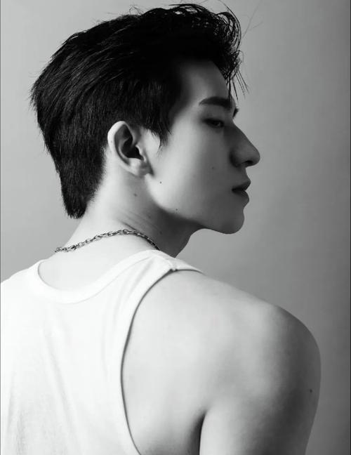 痛风小苏打作用揭秘 影响与健康风险剖析，需警惕应对建议，关注身体保健关