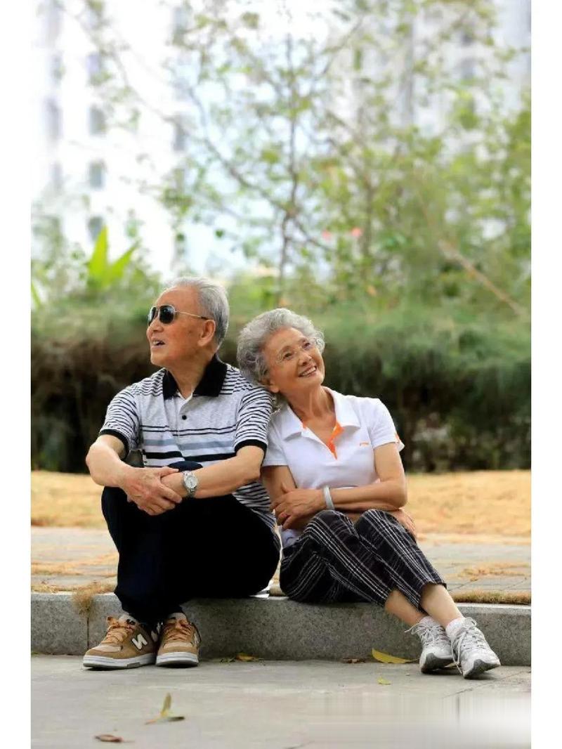 三七胶囊一天吃几颗 解说三七胶囊服用说明书