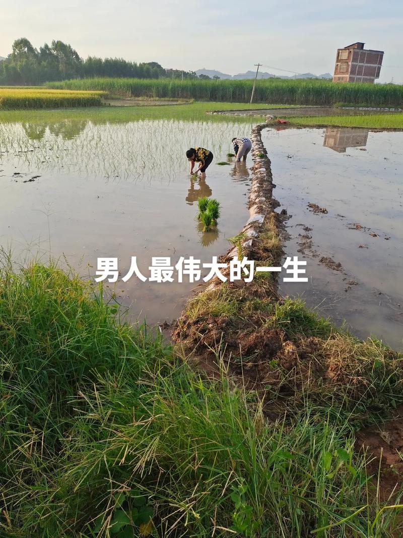 前瞻五大创新科技趋势引领潮流，技术概览影响深远