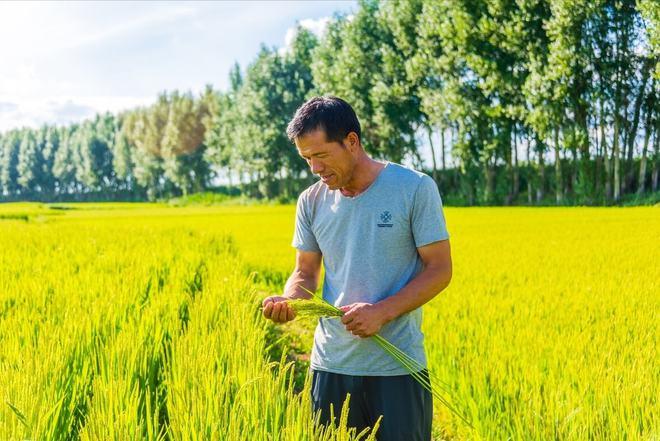 车牌号090NM吉凶是否能影响乙酉年的运势和生活的方方面面令人担忧吗