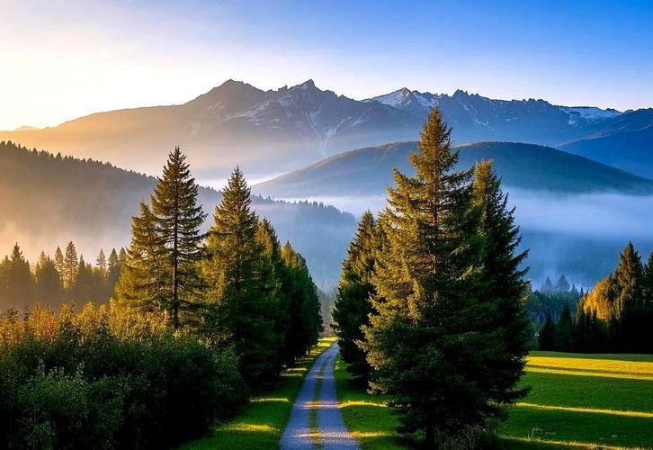 酒酿蛋下奶吗  酒酿蛋的功效与作用