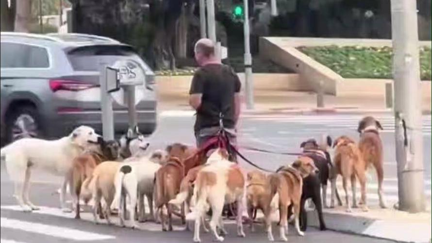 清蒸石斑鱼的做法是什么 简单5步教你做