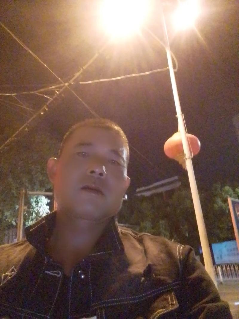 女性备孕吃什么养卵泡 这三种食物对女性备孕有积极作用