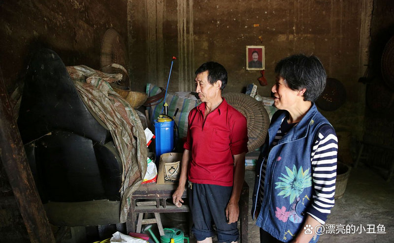 新芽罗布麻茶是一次性冲泡还是可以多次冲泡的