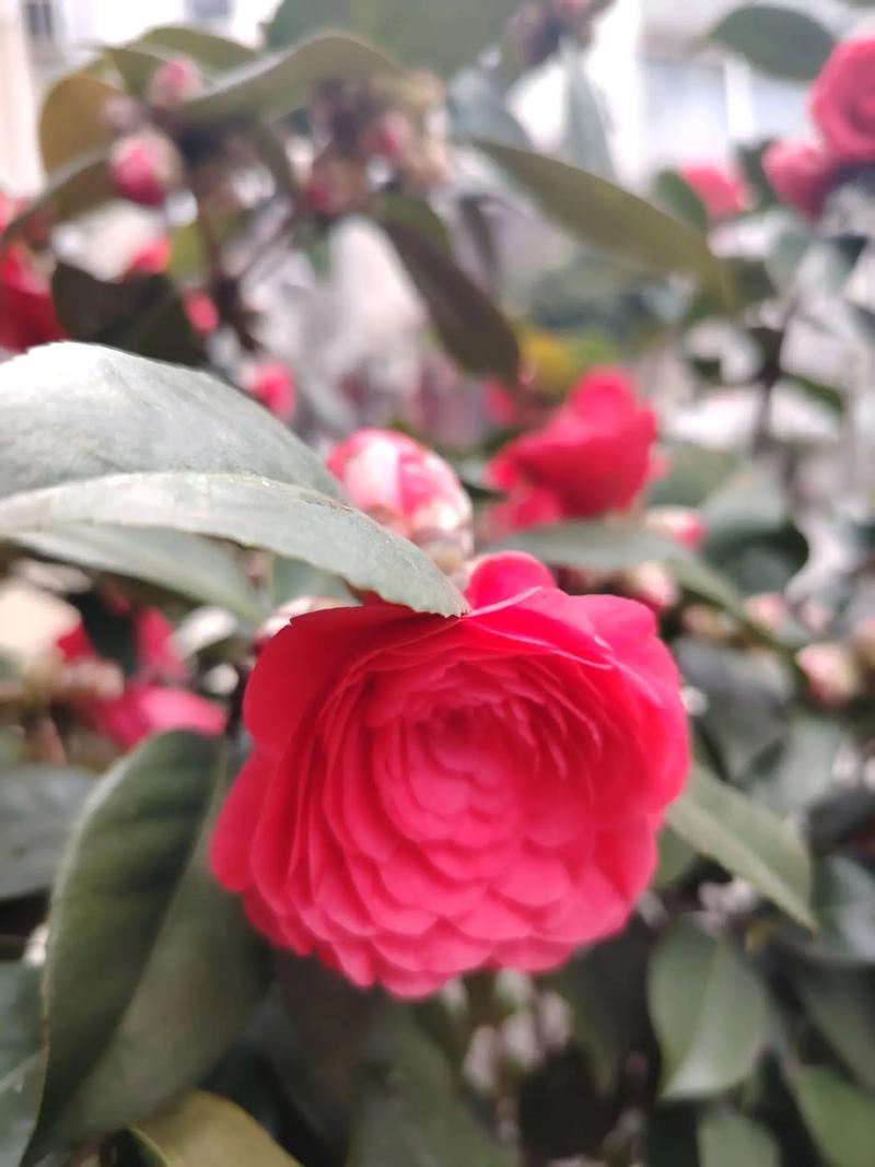 怎么矫正骨盆 对症治疗效果好