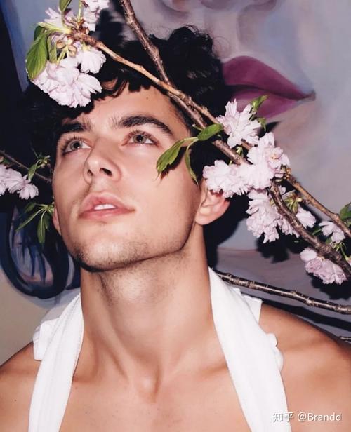 蛇果和苹果的区别 教你如何正确区分 蛇果和苹果的区别 教你如何正确区分