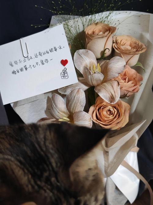 己酉生日配对情侣游戏大全视频中隐藏的情感秘密你了解多少 己酉生日配对情侣游戏大全视频中隐藏的情感秘密你了解多少