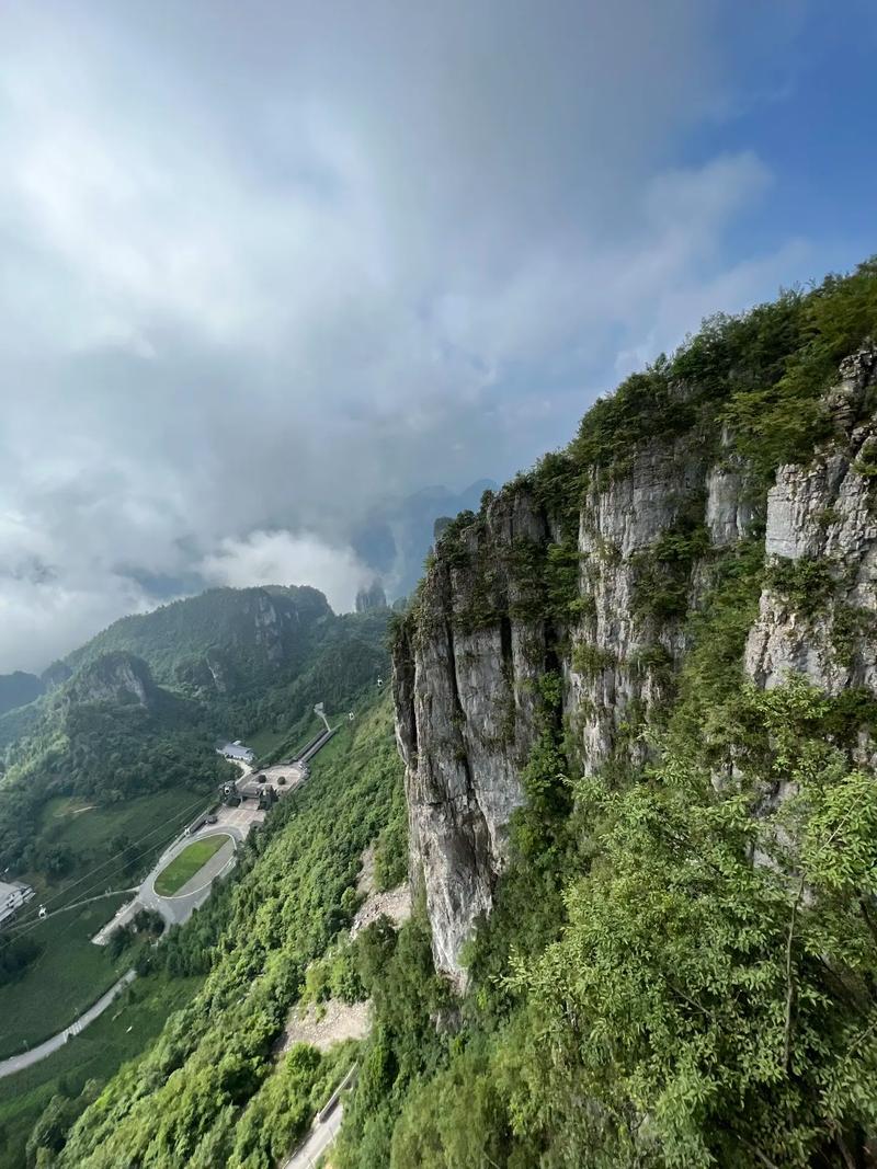 锁阳酒的功效与作用有哪些 深入了解锁阳酒的四大功效 锁阳酒的功效与作用有哪些 深入了解锁阳酒的四大功效