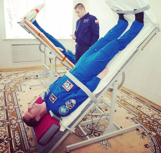 龙胆草苍术泡水喝的功效  龙胆草苍术泡水的3大好处