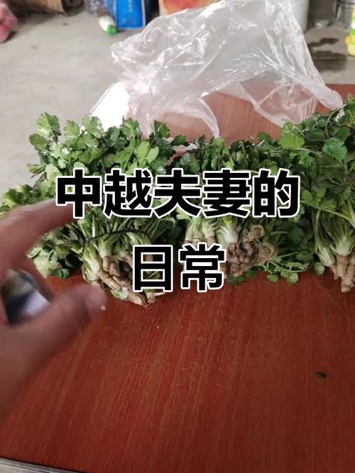眼睛干涩用什么眼药水 眼药水切忌频繁使用