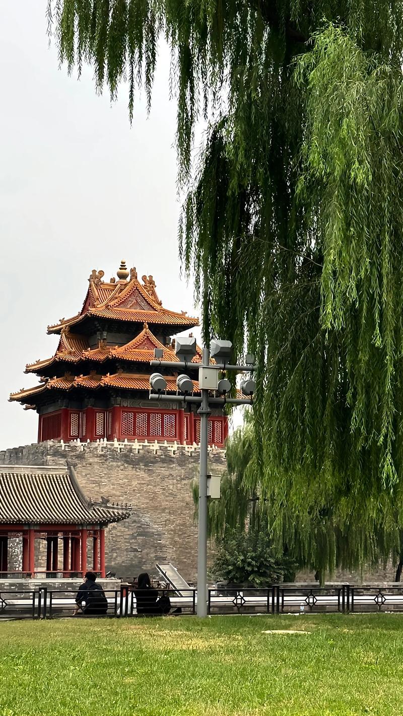 桑叶冬瓜苦瓜茶的功效和作用 桑叶冬瓜苦瓜茶可以天天喝吗