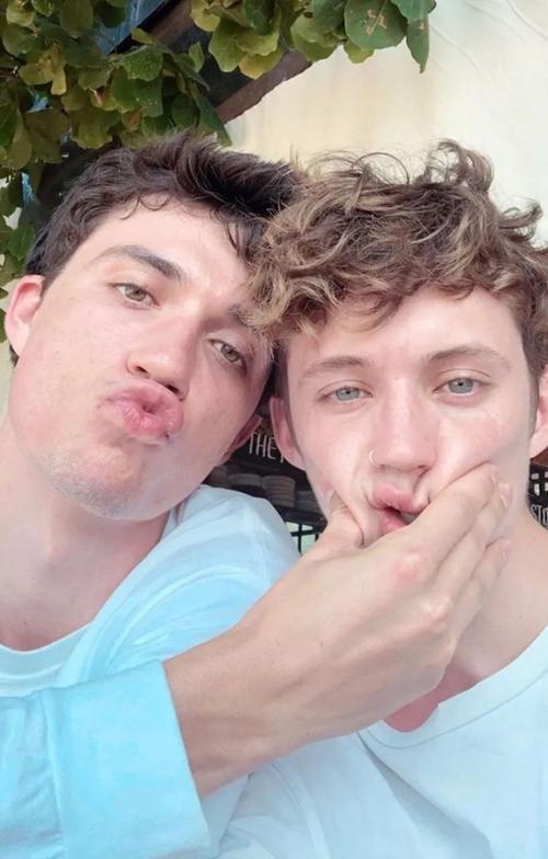 霪羊藿和枸杞子泡水喝行吗 霪羊藿和枸杞子泡水喝的功效