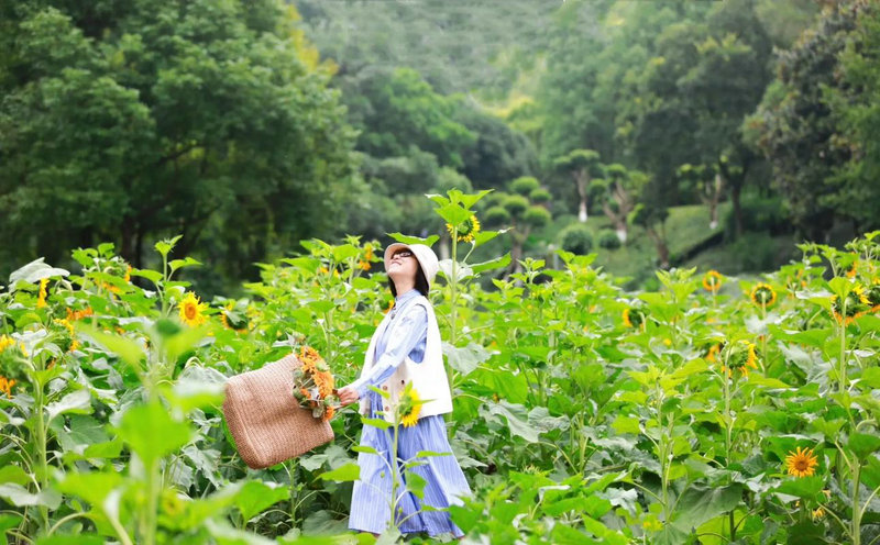 肩周炎症状和治疗方法 肩周炎症状和治疗方法