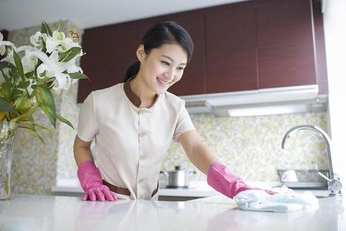 湖南长沙家庭保洁擦玻璃 湖南长沙家庭保洁擦玻璃