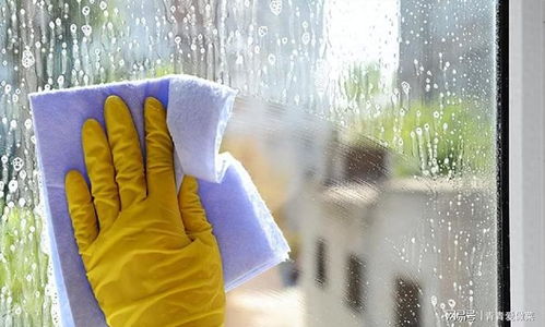 招工招聘钟点工服务员