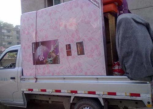 初来乍到保姆_初来乍到2