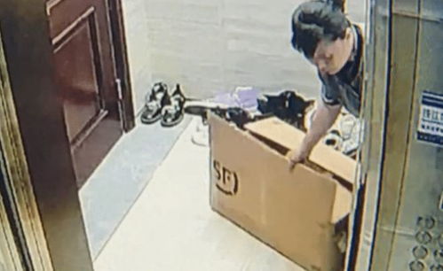 精灵保姆女巫有关一对精灵当保姆的动画片