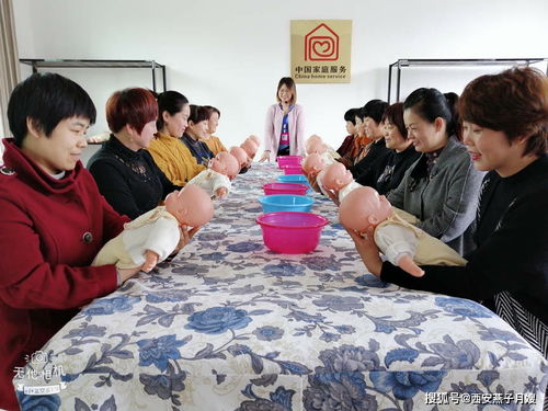 月嫂先生全剧月嫂先生全剧在线观看 月嫂先生全剧月嫂先生全剧在线观看