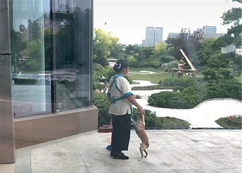 北京月嫂真实收入