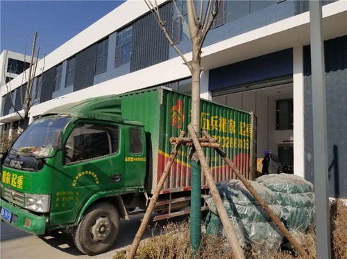 找重庆月嫂推荐杭州月嫂