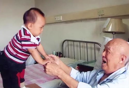 月嫂炖羊肉 月子羊肉炖什么 月嫂炖羊肉 月子羊肉炖什么