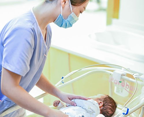 石家庄钟点工什么价格