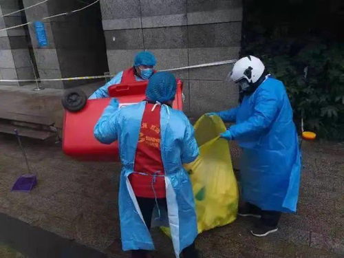 清洗地毯一平米多少钱